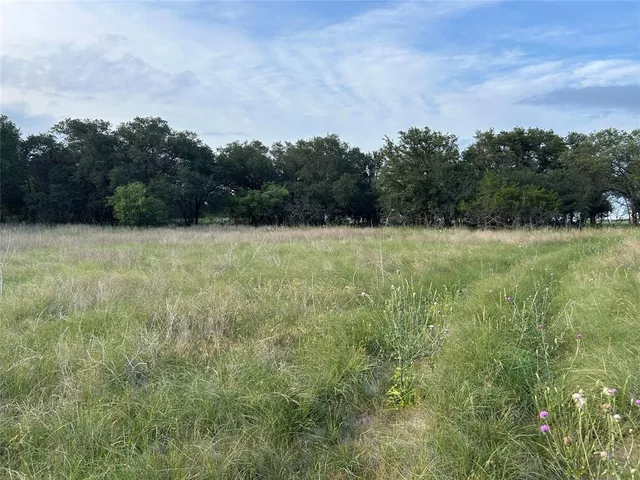 a view of field with trees in the background