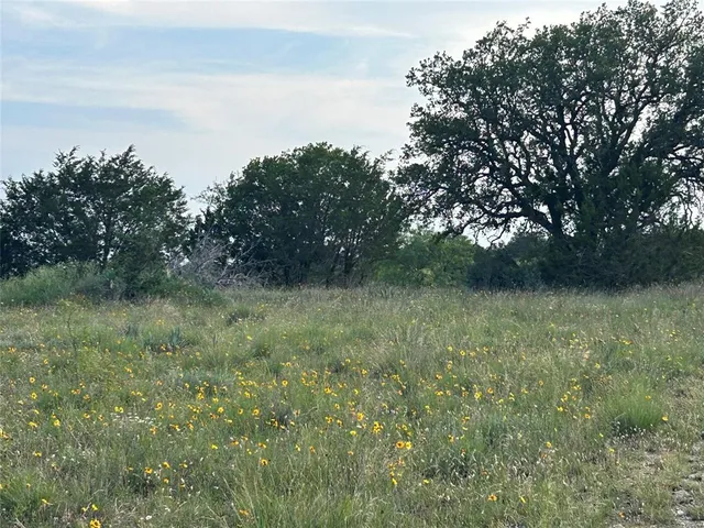 a view of outdoor space and green field