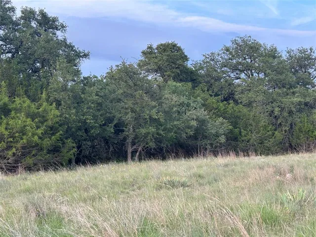 a view of a yard with large trees