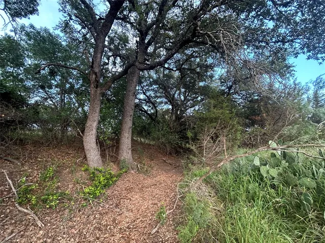 a backyard of a house with lots of green space and lake view