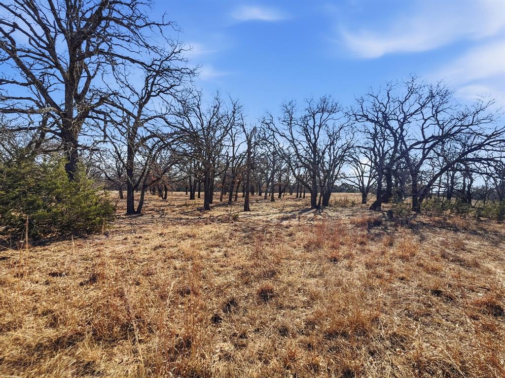 424 Hamilton Tx 76531 Hamilton, TX 76531 - Photo 5 of 8 a view of empty space with trees
