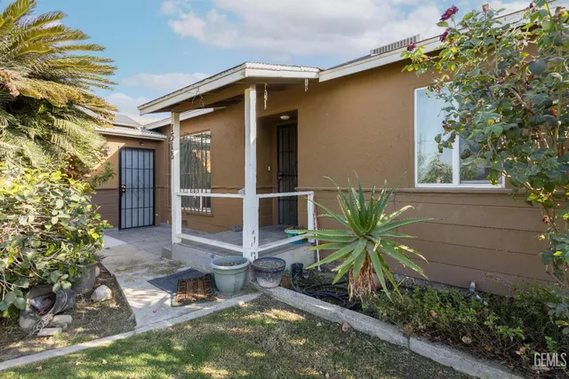 a view of backyard with a potted plant and a large tree