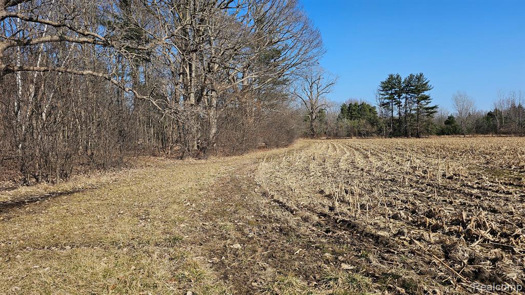 4336 West Lake Road Clio, MI 48420 - Photo 43 of 52 Gallery Image 43