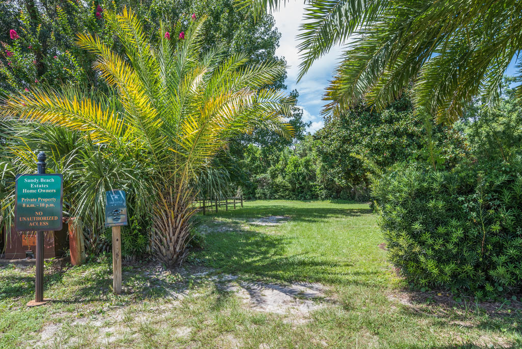 1969 Jessica Way Navarre, FL 32566 - Photo 16 of 17 a view of a yard with a tree