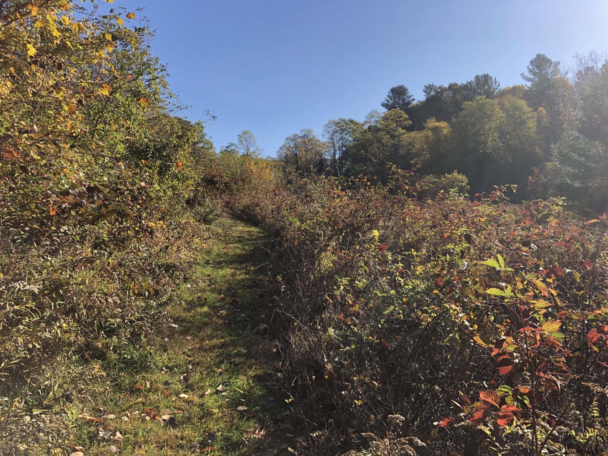 Cole Lane Troy, NY 12180 - Photo 3 of 5 Photo 3