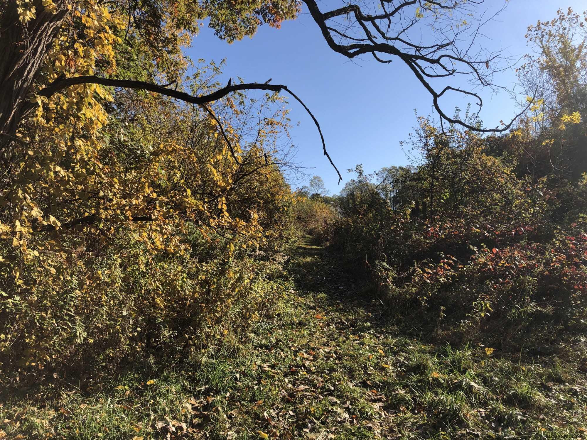 Cole Lane Troy, NY 12180 - Photo 4 of 5 Photo 4