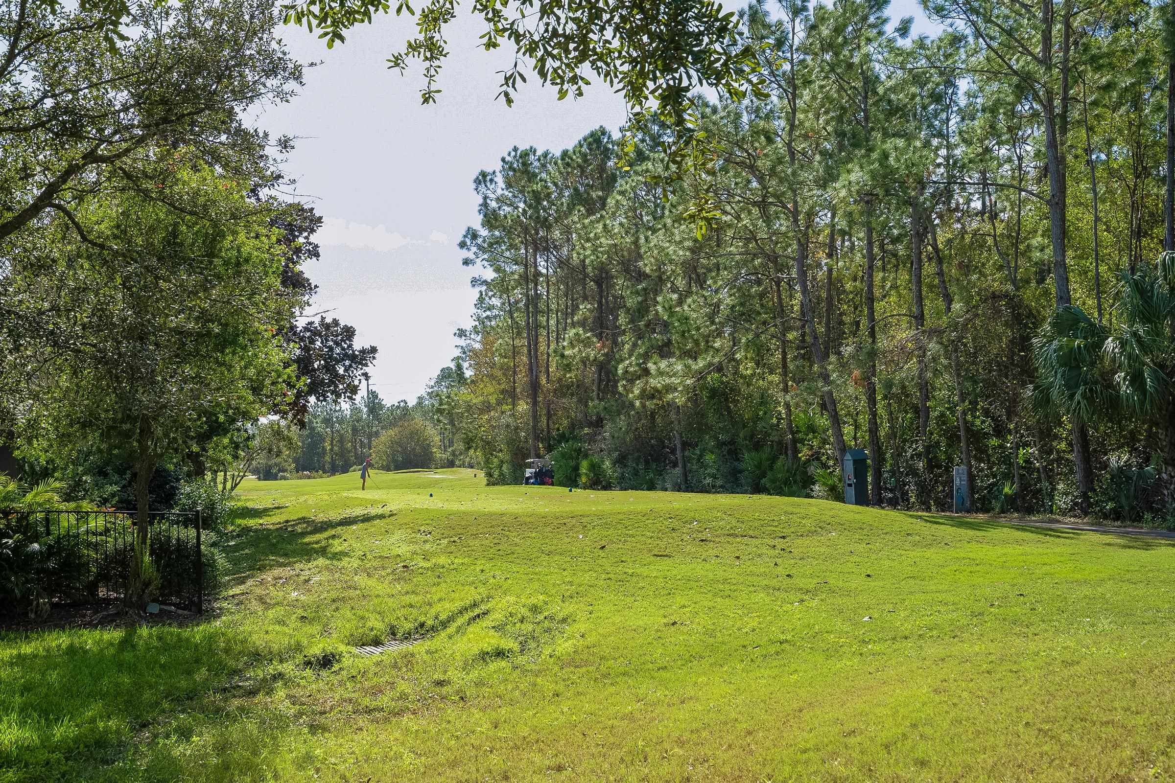 1525 Remington Way St. Augustine, FL 32084 - Photo 22 of 51 a view of a grassy field with trees in the background