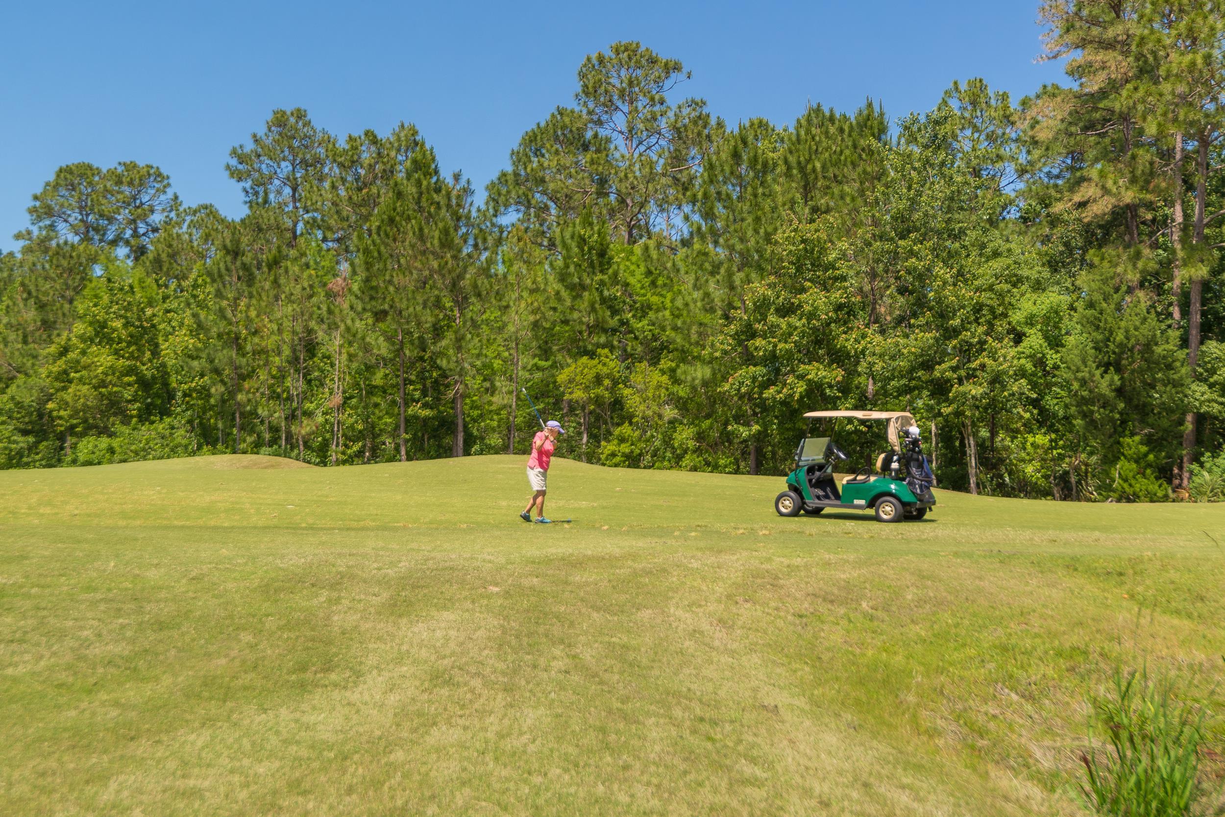 1525 Remington Way St. Augustine, FL 32084 - Photo 48 of 51