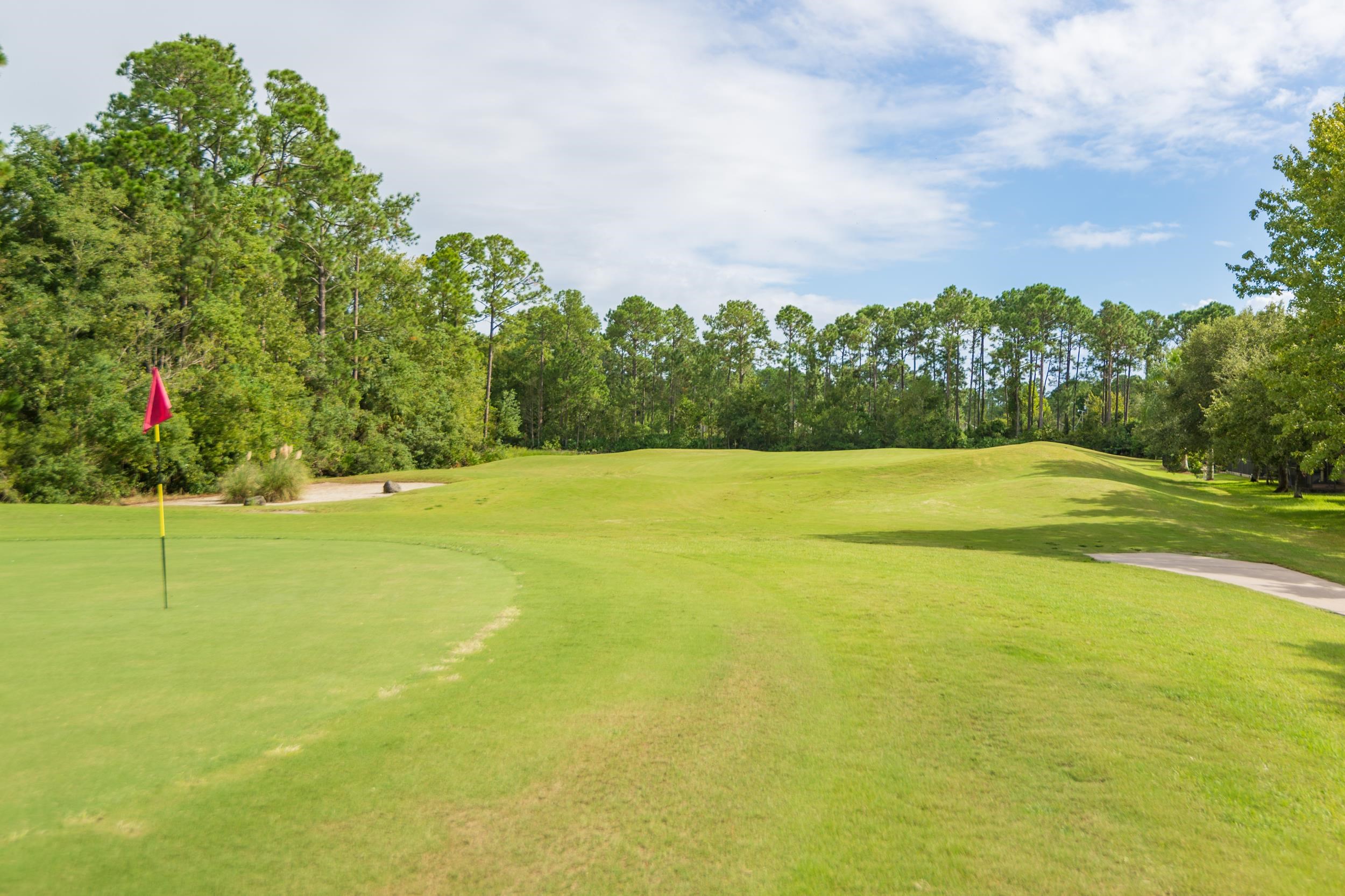 1525 Remington Way St. Augustine, FL 32084 - Photo 49 of 51