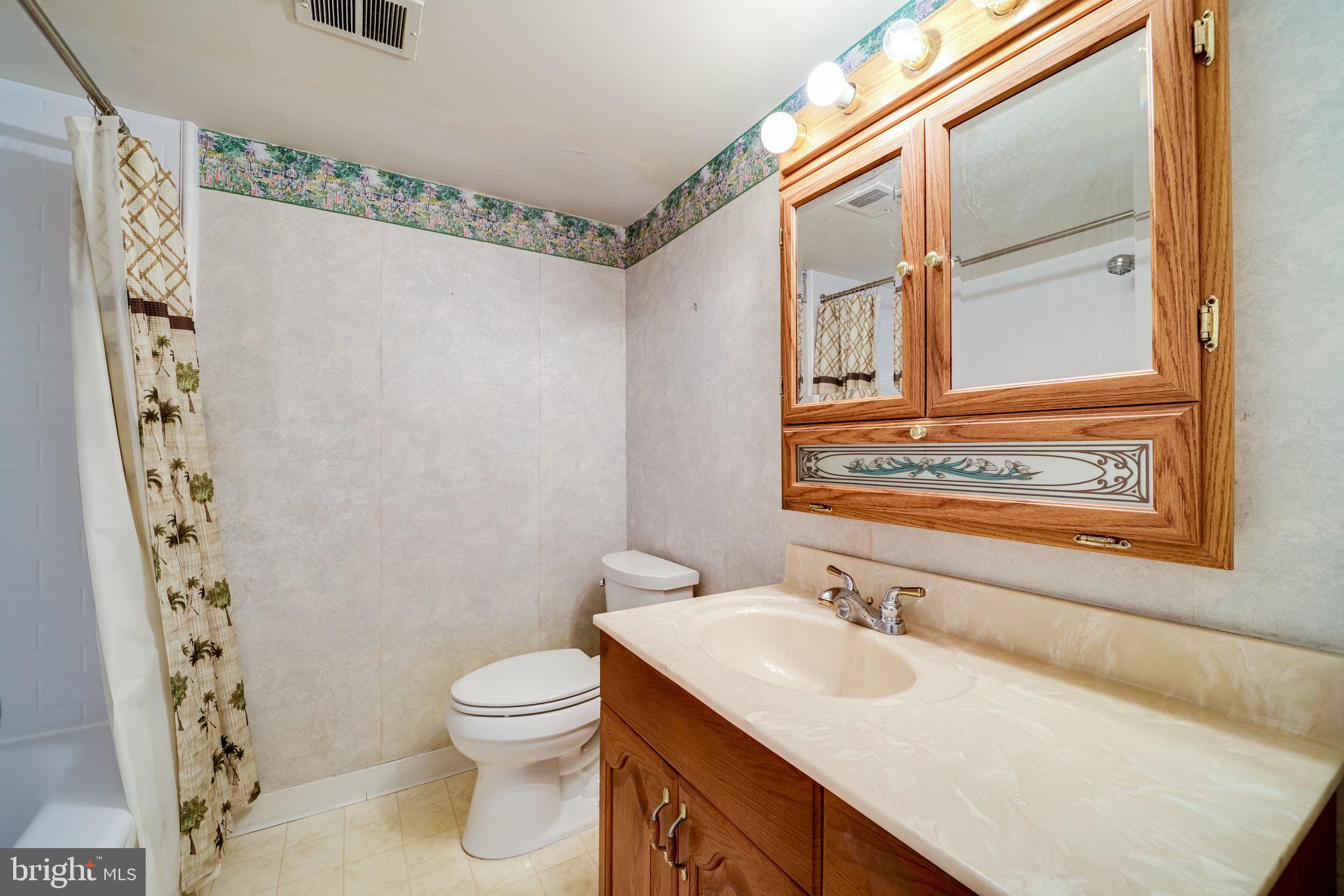8101 Frye Road Alexandria, VA 22309 - Photo 34 of 50 Lower Level Bathroom