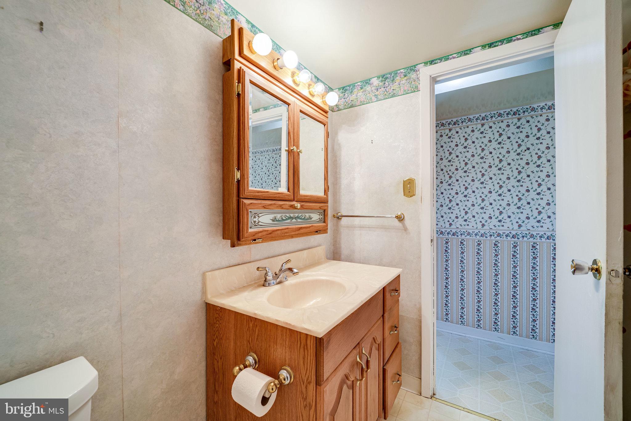 8101 Frye Road Alexandria, VA 22309 - Photo 35 of 50 Lower Level Bathroom