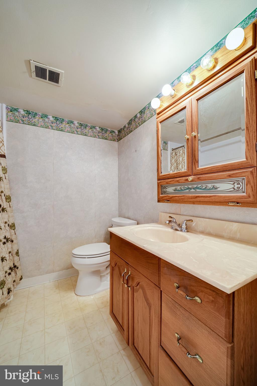 8101 Frye Road Alexandria, VA 22309 - Photo 37 of 50 Lower Level Bathroom