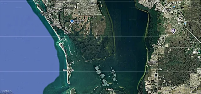 a close up of a plant in a garden