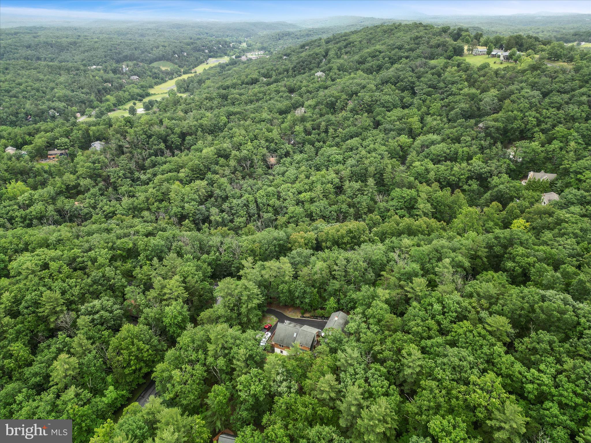 an aerial view of residential houses with outdoor space and trees