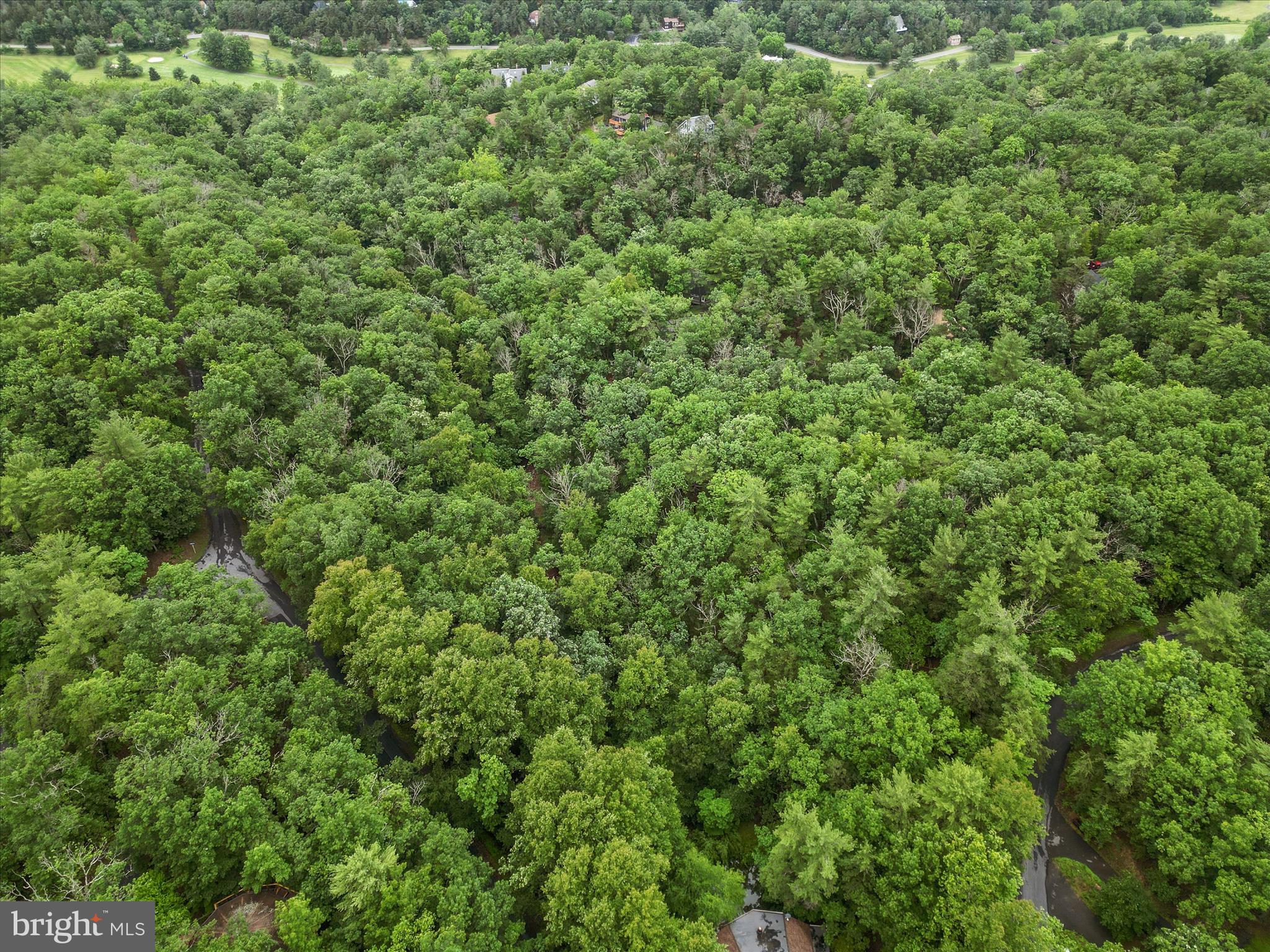 Valley View Road Mount Jackson, VA 22842 - Photo 11 of 17