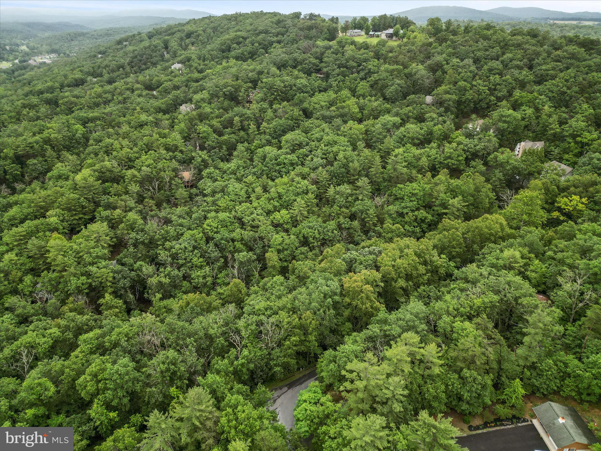 Valley View Road Mount Jackson, VA 22842 - Photo 12 of 17 an aerial view of residential house with outdoor space