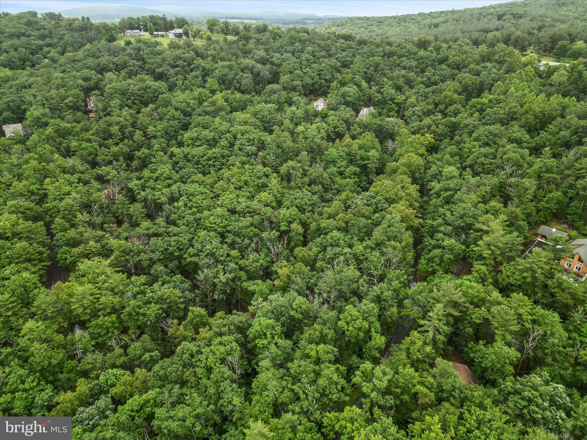 Valley View Road Mount Jackson, VA 22842 - Photo 13 of 17 a view of a large yard with lots of green space
