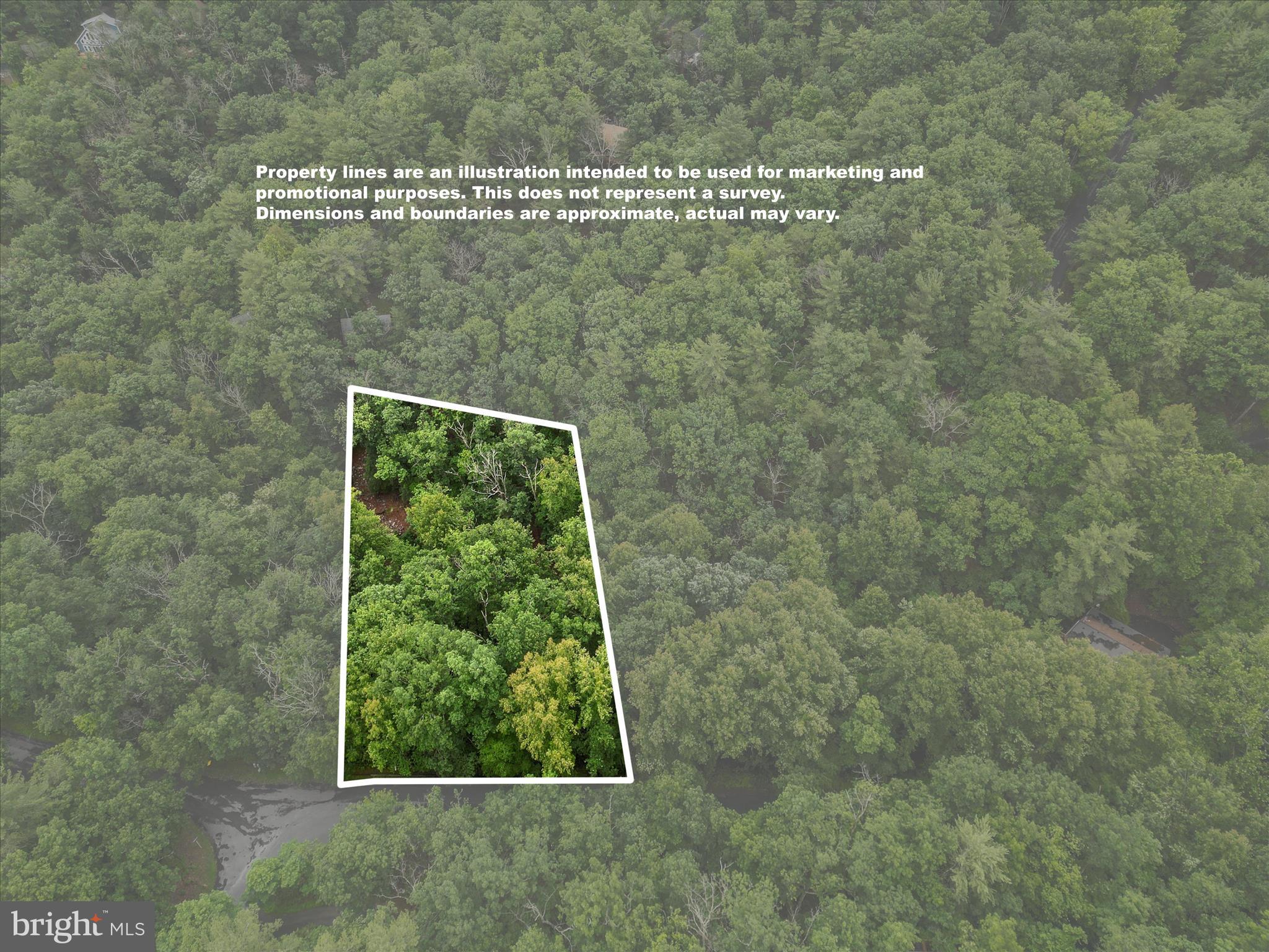Valley View Road Mount Jackson, VA 22842 - Photo 2 of 17 a bathroom with a shower