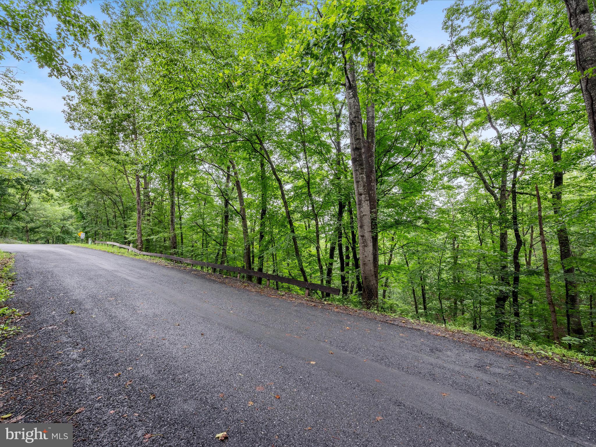 Valley View Road Mount Jackson, VA 22842 - Photo 4 of 17 a view of a forest with trees