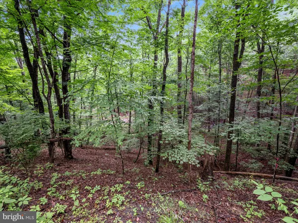 $7,500 | Valley View Road, Mount Jackson, VA 22842