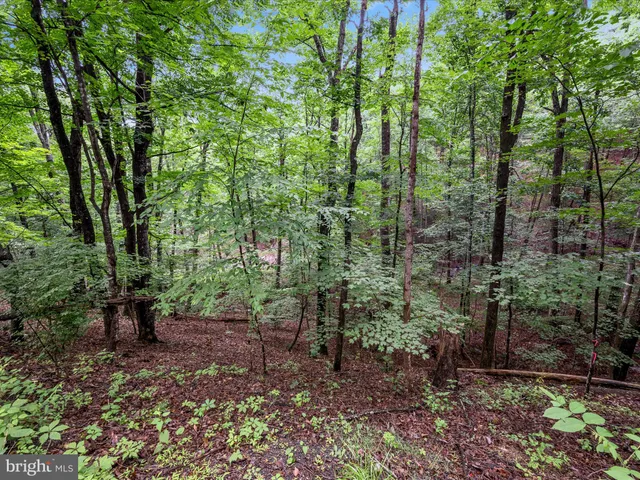 a view of outdoor space and green space