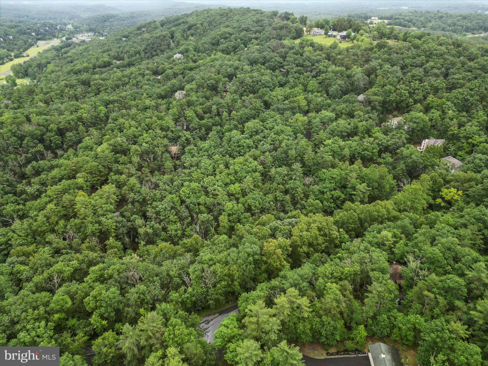 Valley View Road Mount Jackson, VA 22842 - Photo 7 of 17 a view of a large yard with lots of green space