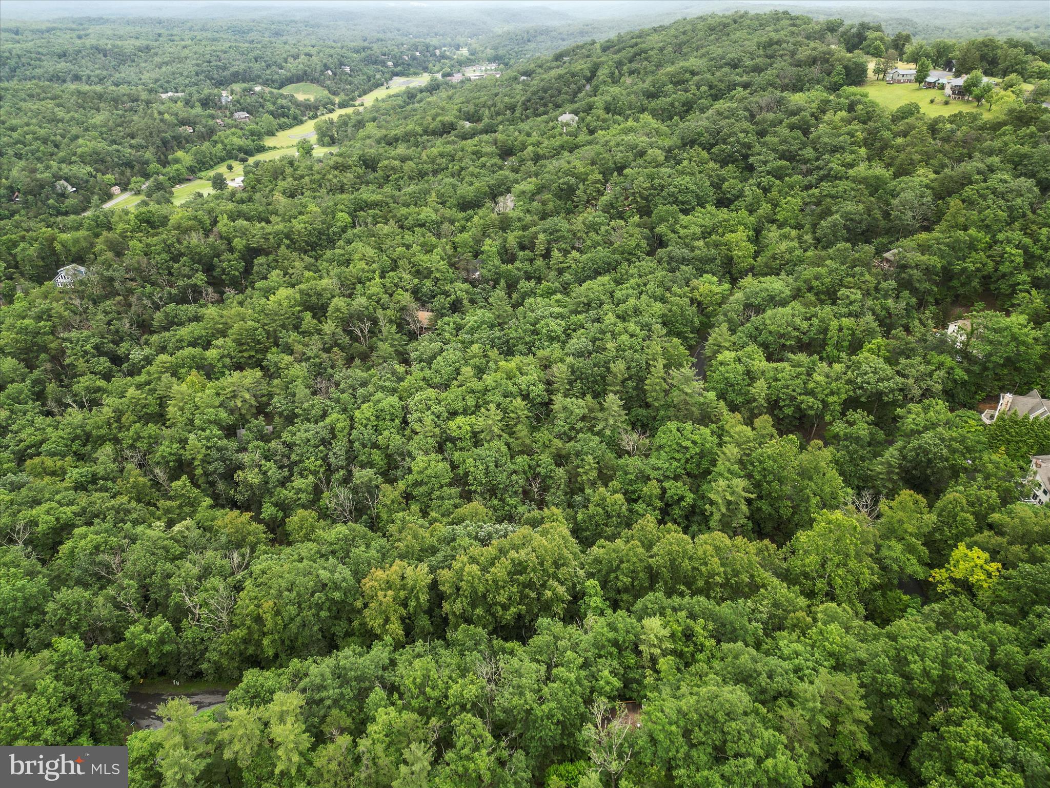 Valley View Road Mount Jackson, VA 22842 - Photo 8 of 17 an aerial view of residential houses with outdoor space and trees