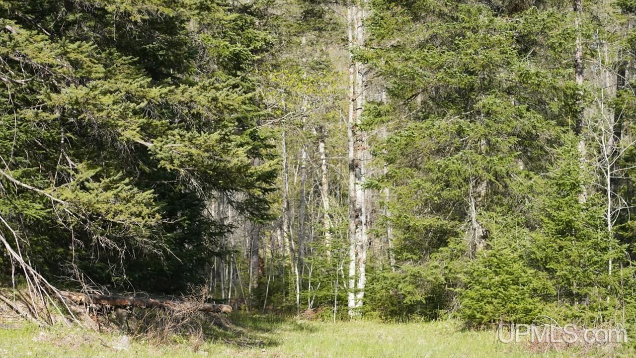 Tbd County Line Road Hermansville, MI 49847 - Photo 20 of 20