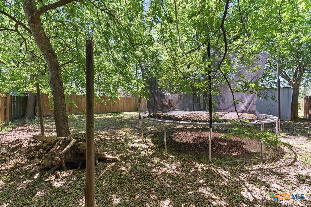 411 Ellis Street Seguin, TX 78155 - Photo 23 of 28 a view of a backyard with table and chairs plants and large trees