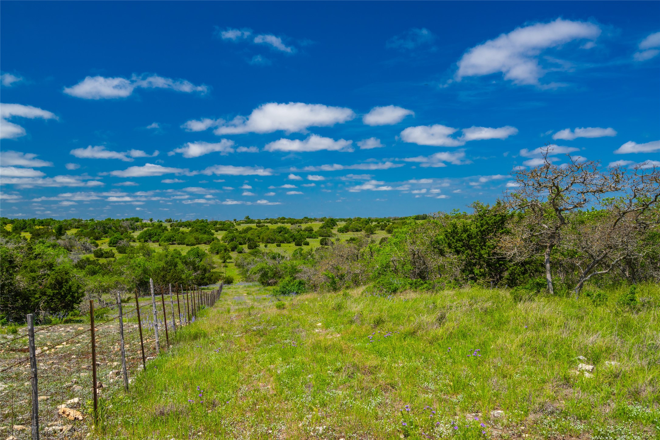 0 Jung Road Harper, TX 78631 - Photo 6 of 17