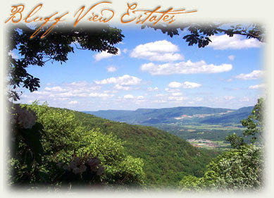 100 Bluff View Drive Dunlap, TN 37327 - Photo 11 of 28 bluffview1