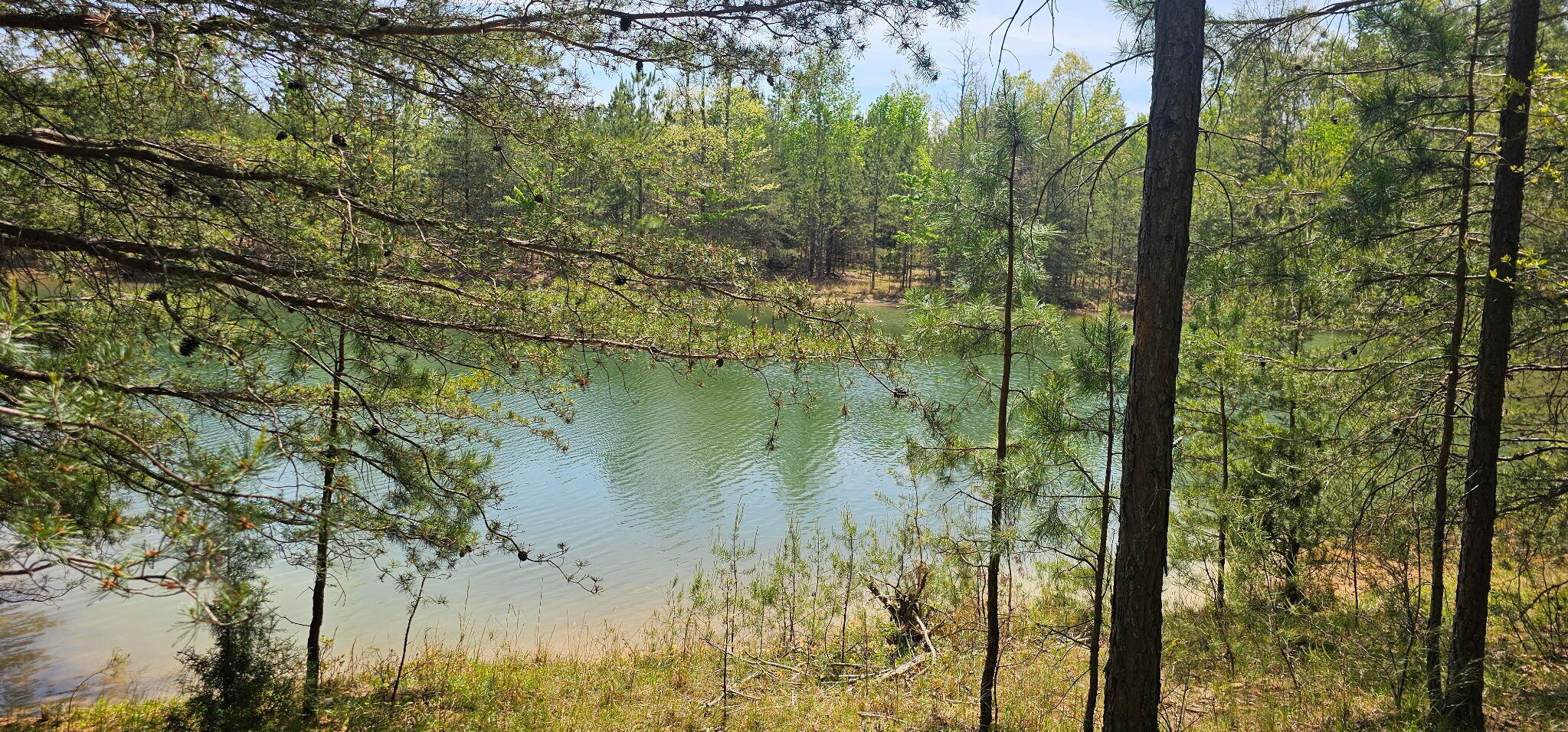 100 Bluff View Drive Dunlap, TN 37327 - Photo 13 of 28 20260421_133948