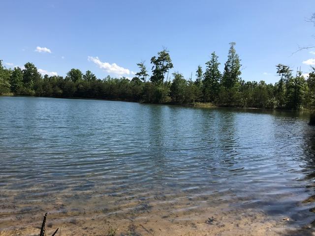 100 Bluff View Drive Dunlap, TN 37327 - Photo 14 of 28 bluff 100