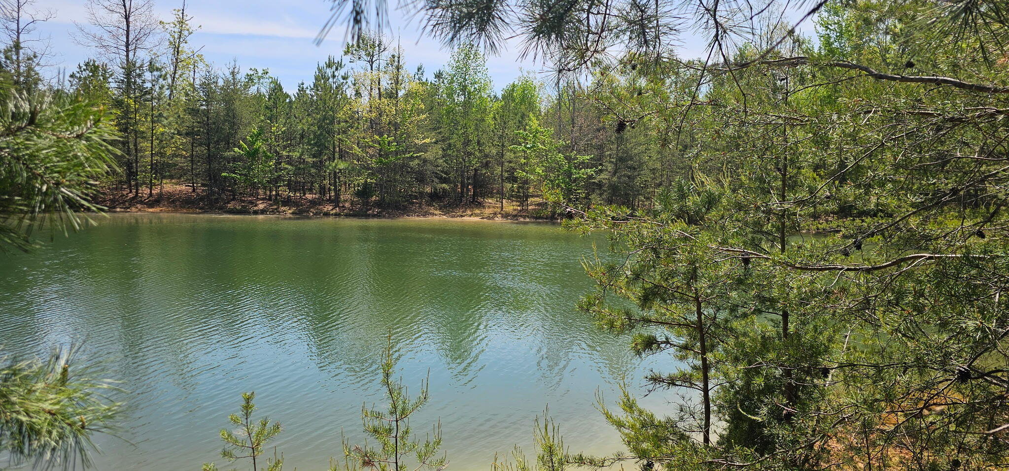 100 Bluff View Drive Dunlap, TN 37327 - Photo 15 of 28 20260421_134000