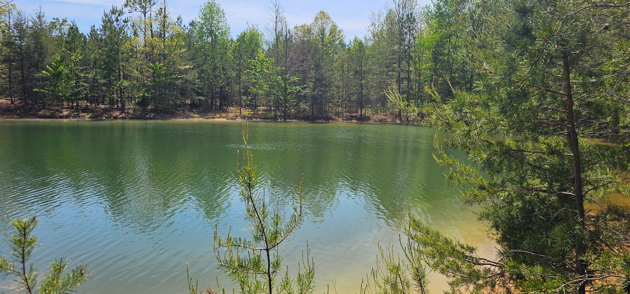 100 Bluff View Drive Dunlap, TN 37327 - Photo 16 of 28 20260421_134014