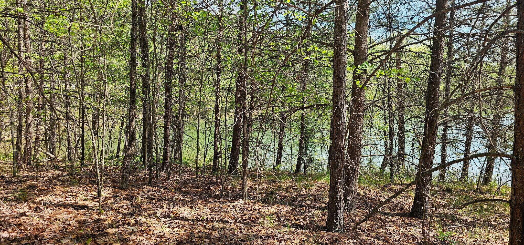 100 Bluff View Drive Dunlap, TN 37327 - Photo 17 of 28 20260421_133730