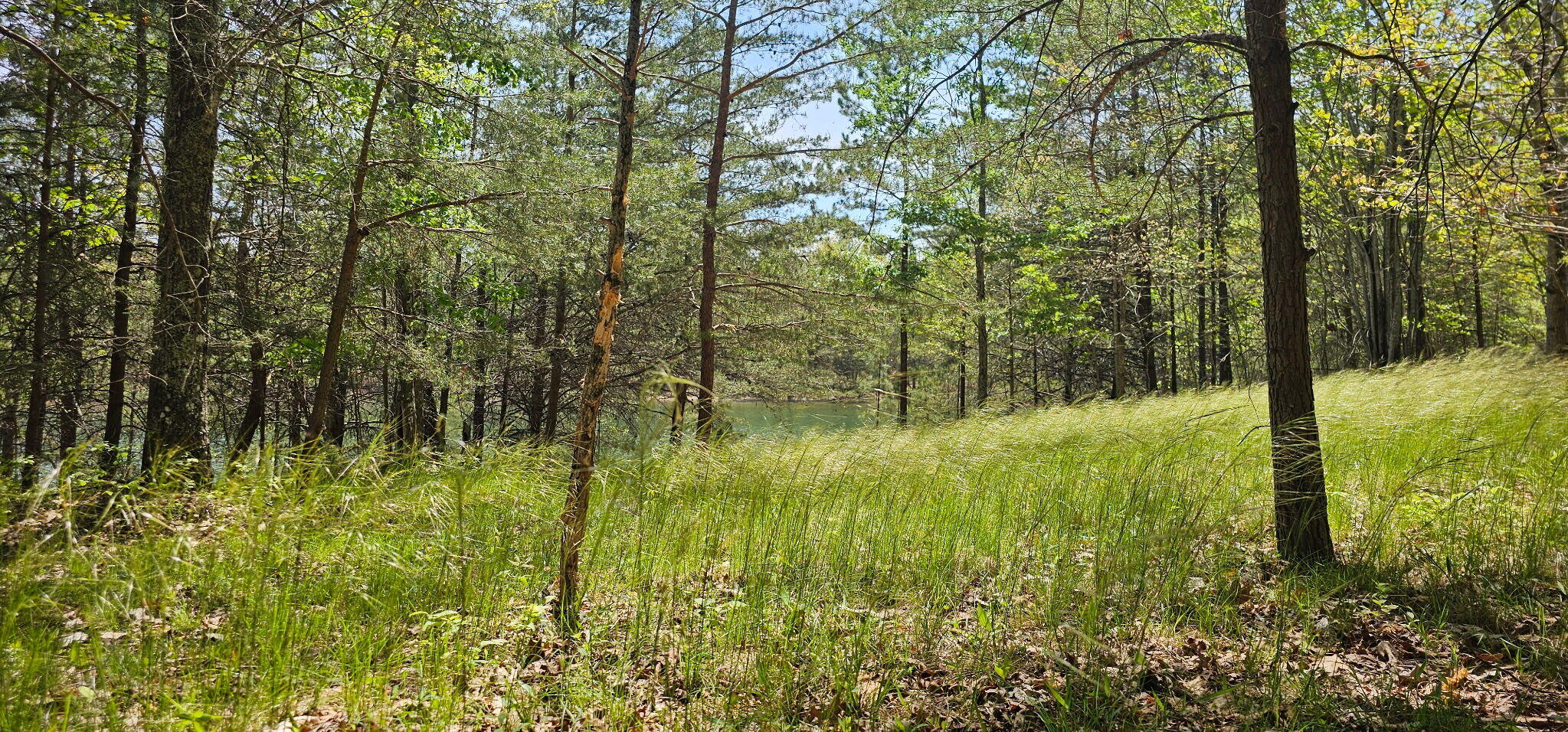 100 Bluff View Drive Dunlap, TN 37327 - Photo 18 of 28 20260421_133701