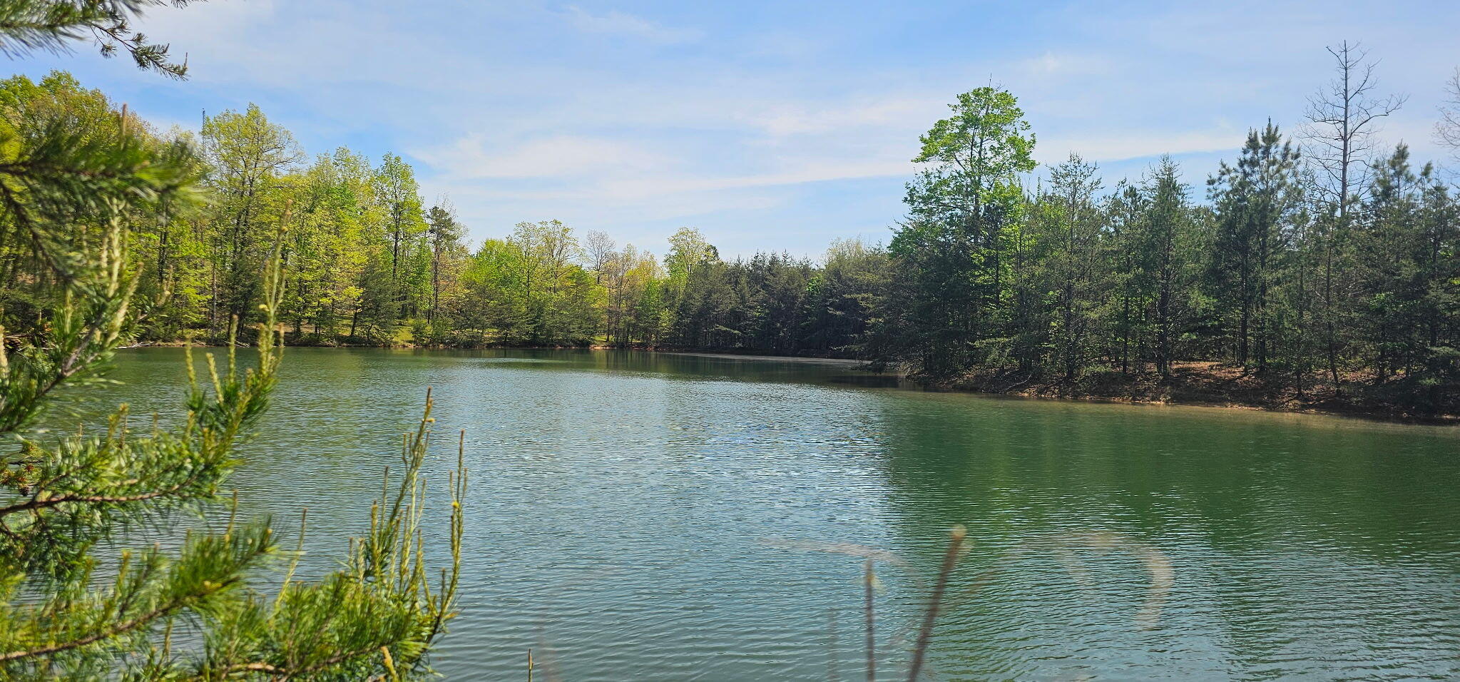 100 Bluff View Drive Dunlap, TN 37327 - Photo 19 of 28 20260421_133853