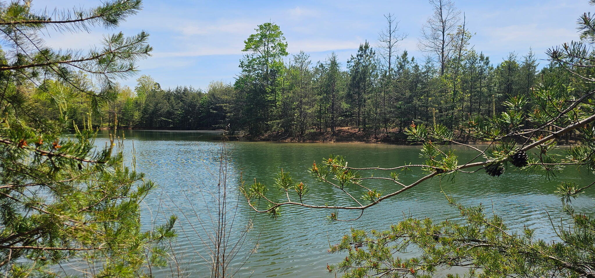 100 Bluff View Drive Dunlap, TN 37327 - Photo 20 of 28 20260421_133840