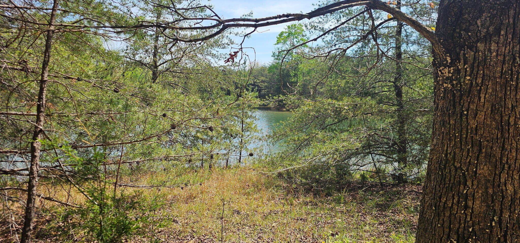 100 Bluff View Drive Dunlap, TN 37327 - Photo 2 of 28 20260421_133754