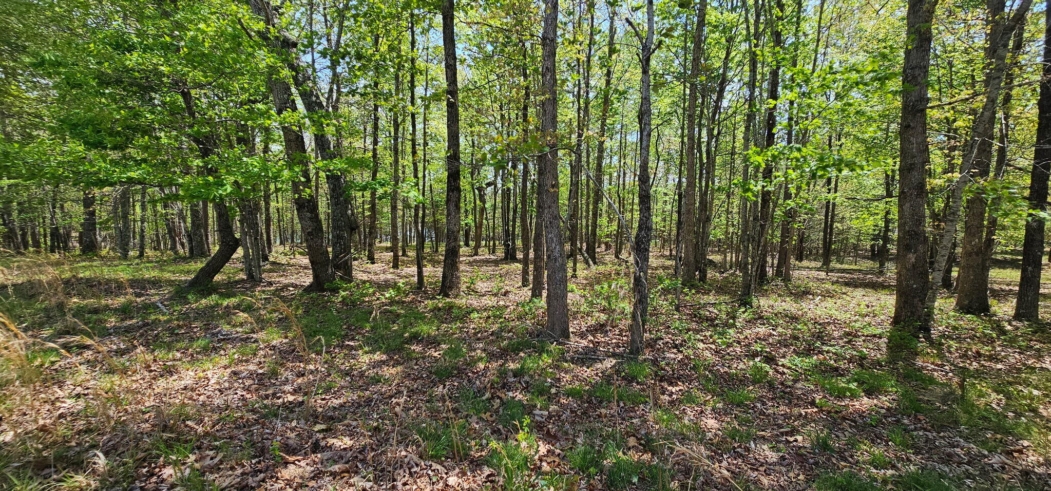 100 Bluff View Drive Dunlap, TN 37327 - Photo 21 of 28 20260421_133345