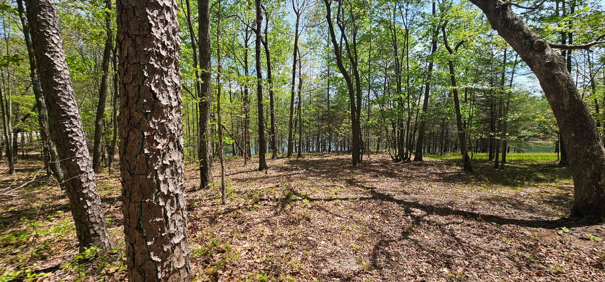 100 Bluff View Drive Dunlap, TN 37327 - Photo 22 of 28 20260421_133510