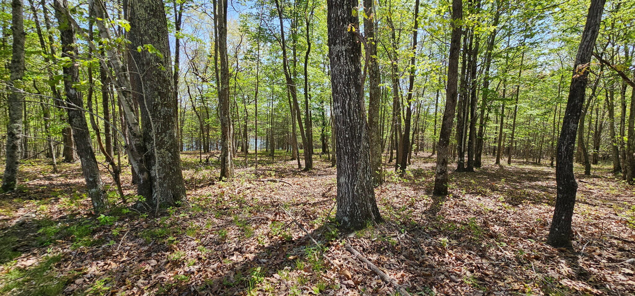 100 Bluff View Drive Dunlap, TN 37327 - Photo 24 of 28 20260421_133428