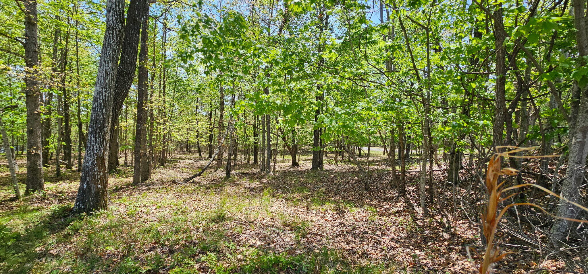 100 Bluff View Drive Dunlap, TN 37327 - Photo 25 of 28 20260421_133331