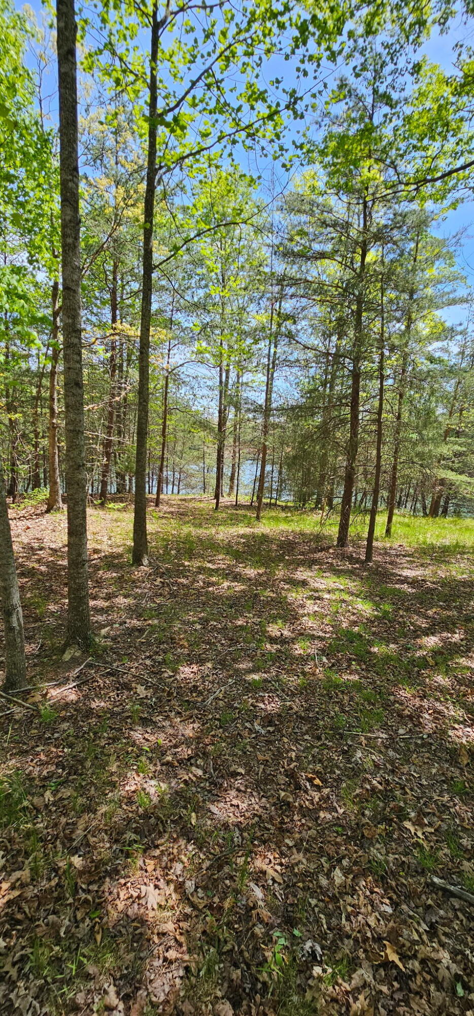 100 Bluff View Drive Dunlap, TN 37327 - Photo 26 of 28 20260421_133558