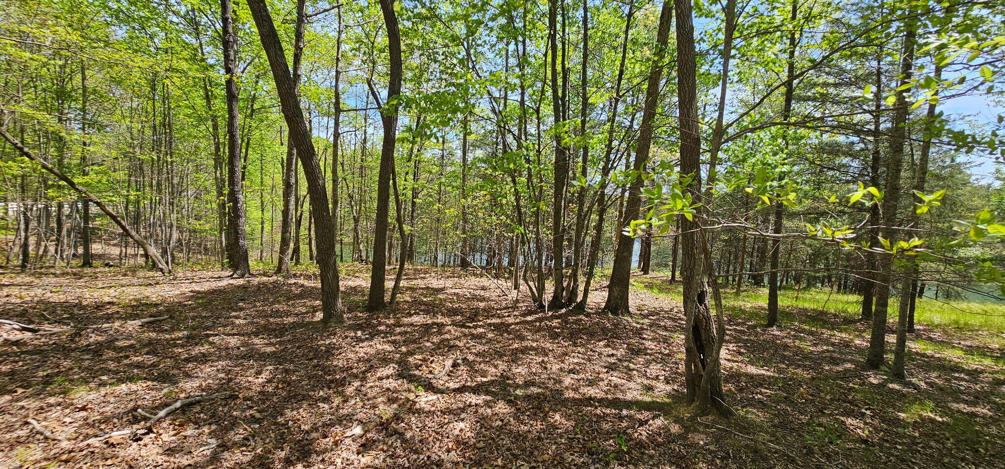 100 Bluff View Drive Dunlap, TN 37327 - Photo 27 of 28 20260421_133545