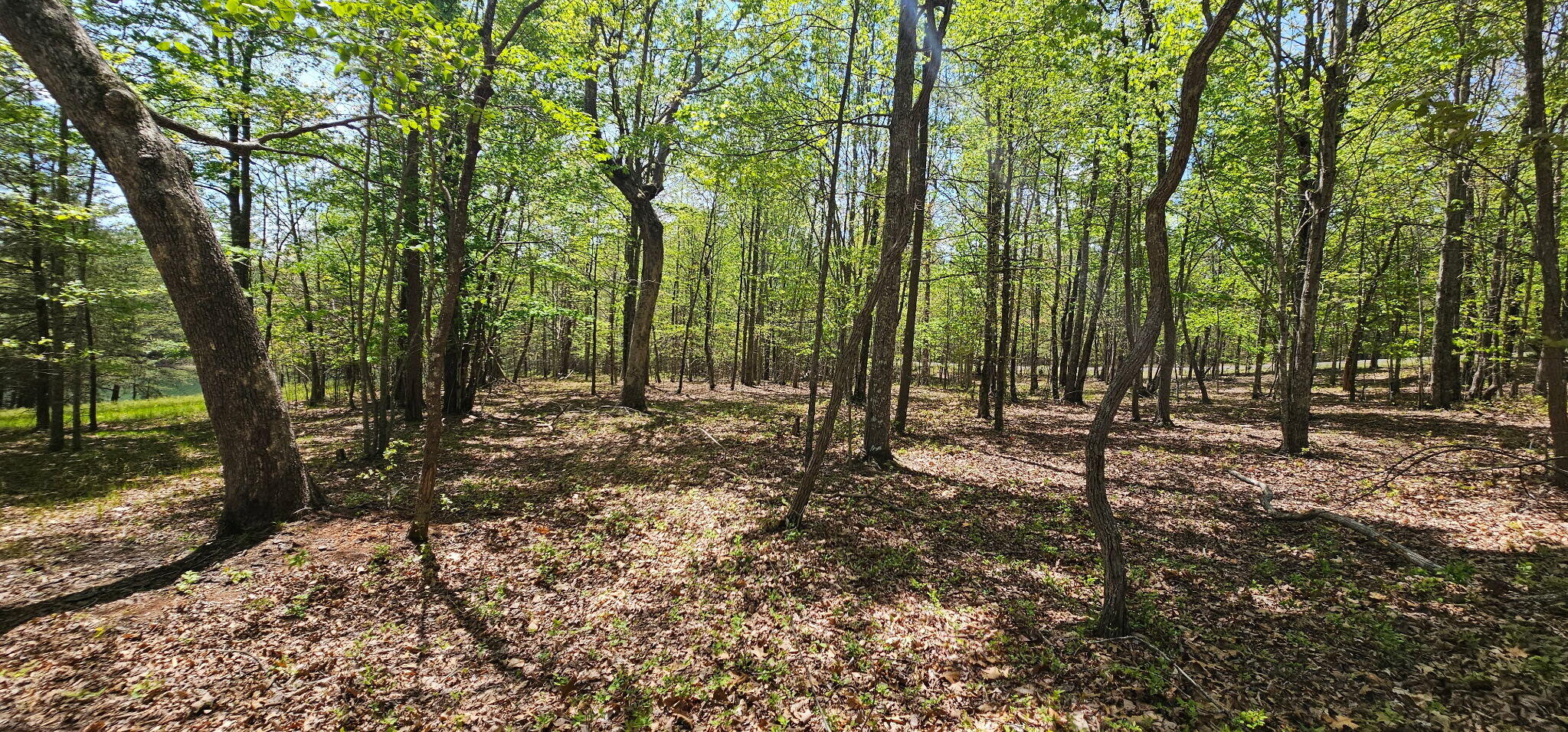 100 Bluff View Drive Dunlap, TN 37327 - Photo 28 of 28 20260421_133513