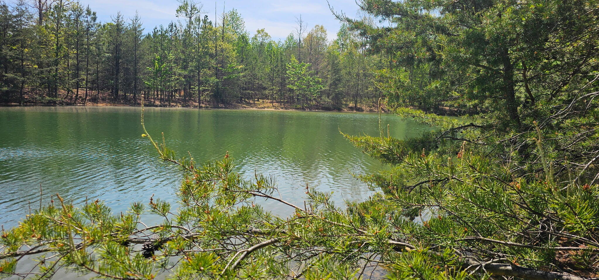 100 Bluff View Drive Dunlap, TN 37327 - Photo 3 of 28 20260421_133903