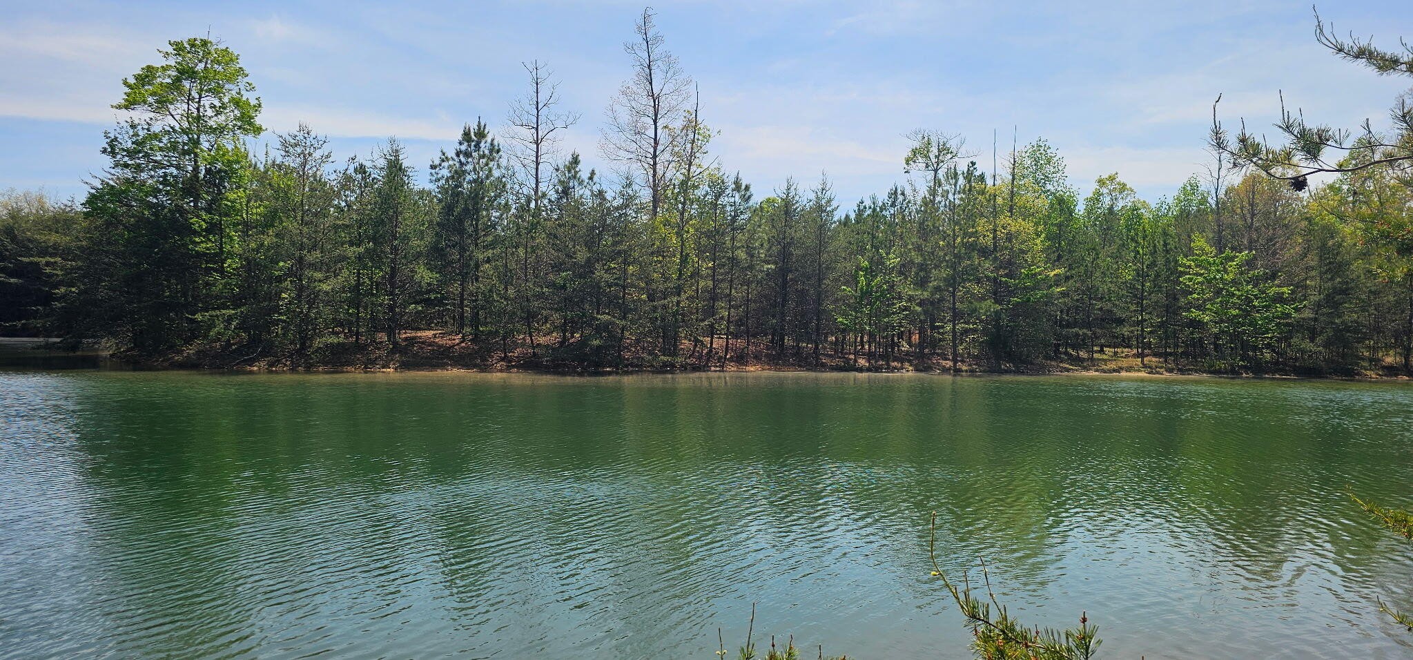 100 Bluff View Drive Dunlap, TN 37327 - Photo 4 of 28 20260421_133856