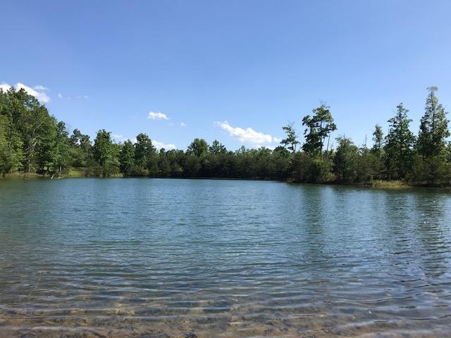 100 Bluff View Drive Dunlap, TN 37327 - Photo 5 of 28 bluff102